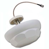 2기가/5기가 듀…